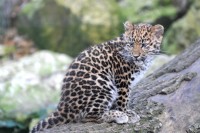babylep_0738.jpg