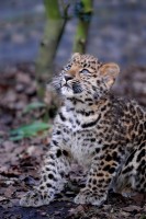 babylep_0763.jpg