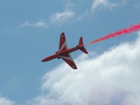 ra8.jpg