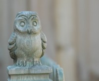 wowl.jpg