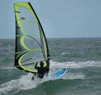 yellowsail.jpg